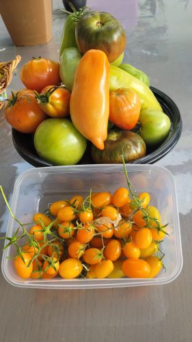 La Sauvagine Terre et Passion®