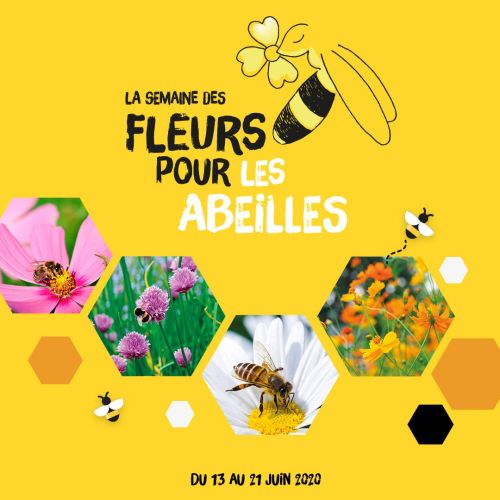 La Sauvagine Terre et Passion®