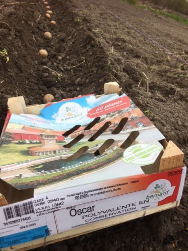 La Sauvagine Terre et Passion®