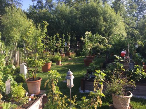 La Sauvagine Terre et Passion®