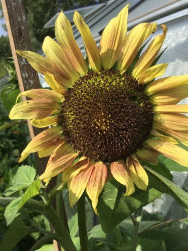 La Sauvagine Terre et Passion®