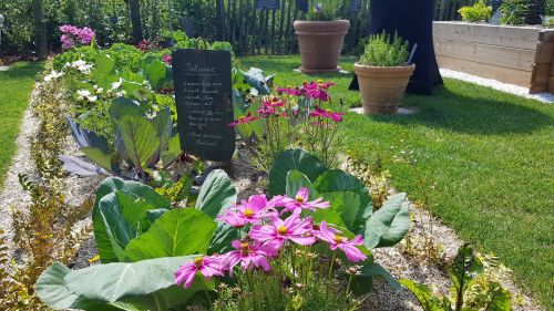 La Sauvagine Terre et Passion®