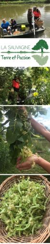 La Sauvagine Terre et Passion®
