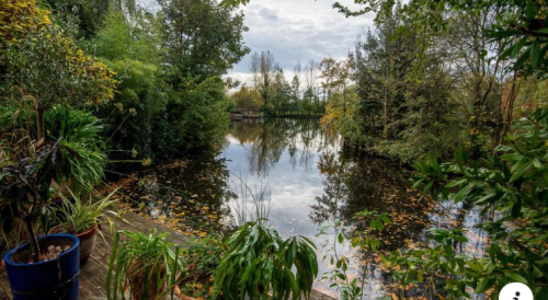 La Sauvagine Terre et Passion®