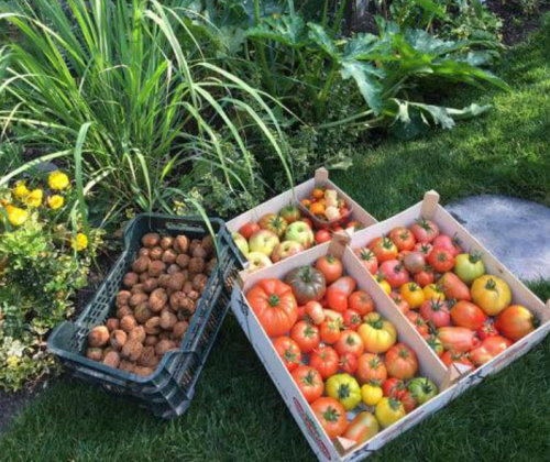 La Sauvagine Terre et Passion®