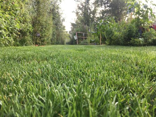 La Sauvagine Terre et Passion®