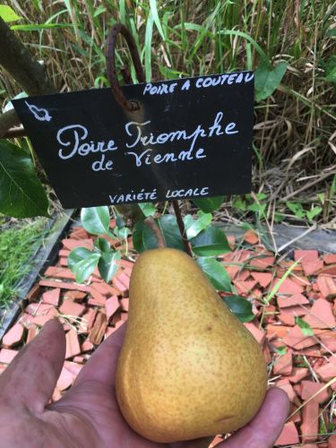 La Sauvagine Terre et Passion®