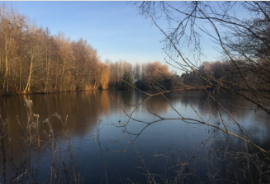 La Sauvagine Terre et Passion®