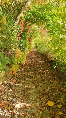 La Sauvagine Terre et Passion®