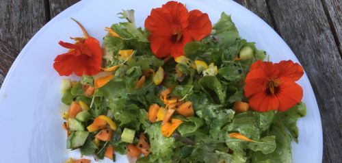 La Sauvagine Terre et Passion®