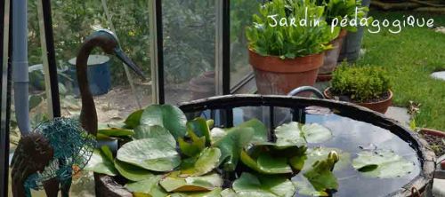 La Sauvagine Terre et Passion®