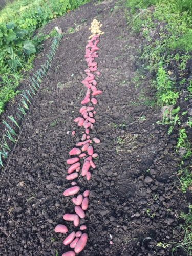 La Sauvagine Terre et Passion®