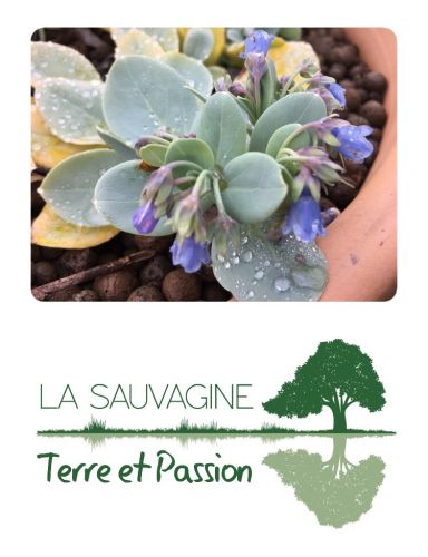 La Sauvagine Terre et Passion®