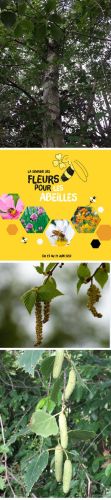 La Sauvagine Terre et Passion®