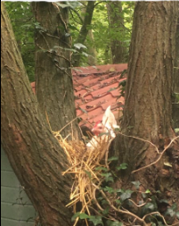 La Sauvagine Terre et Passion®