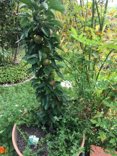 La Sauvagine Terre et Passion®