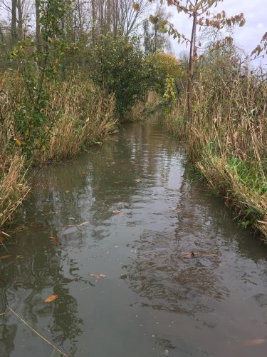 La Sauvagine Terre et Passion®