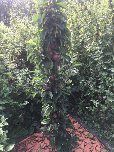 La Sauvagine Terre et Passion®