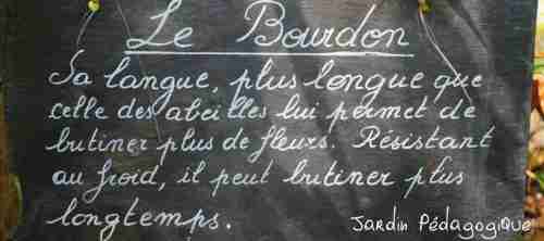 La Sauvagine Terre et Passion®