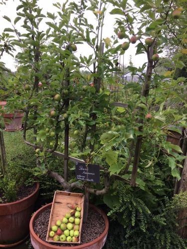 La Sauvagine Terre et Passion®