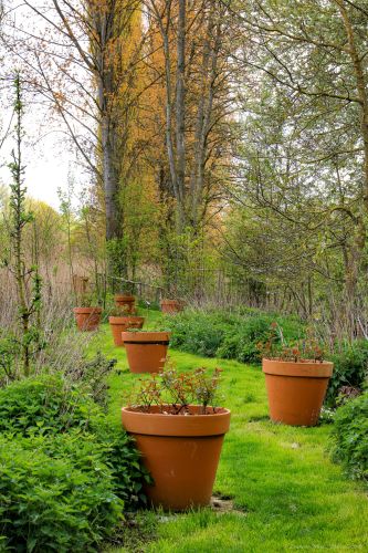 La Sauvagine Terre et Passion®