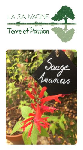 La Sauvagine Terre et Passion®
