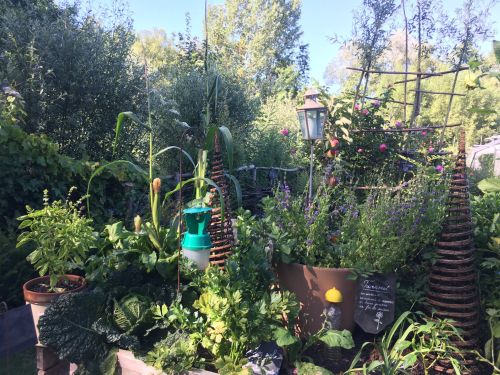 La Sauvagine Terre et Passion®