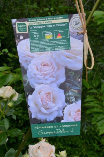 La Sauvagine Terre et Passion®