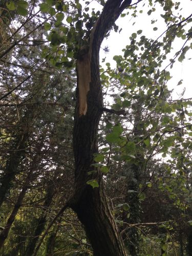 La Sauvagine Terre et Passion®