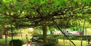 La Sauvagine Terre et Passion®