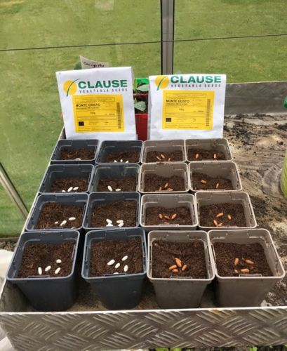 La Sauvagine Terre et Passion®