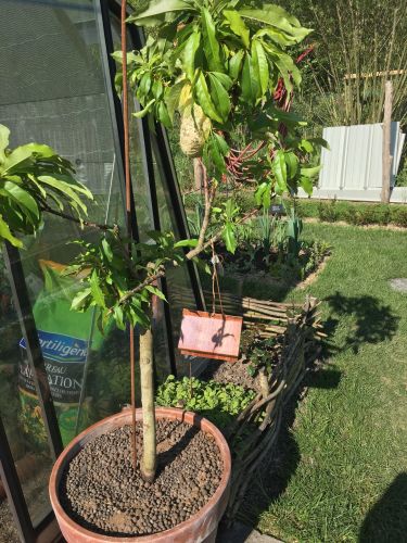 La Sauvagine Terre et Passion®