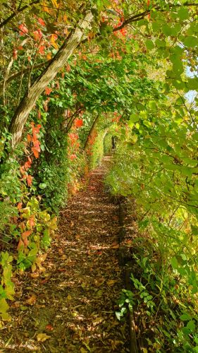 La Sauvagine Terre et Passion®