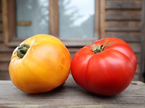 La Sauvagine Terre et Passion®