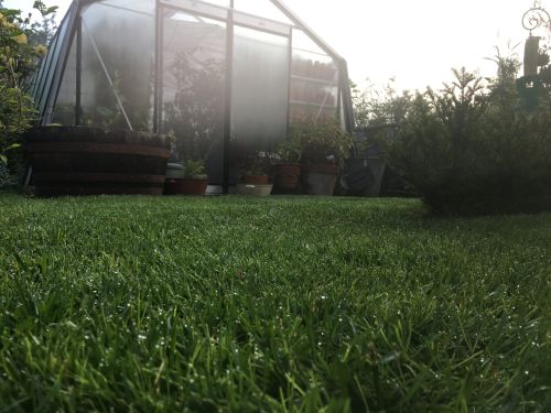 La Sauvagine Terre et Passion®