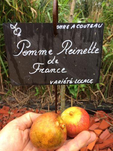 La Sauvagine Terre et Passion®