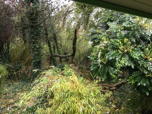 La Sauvagine Terre et Passion®