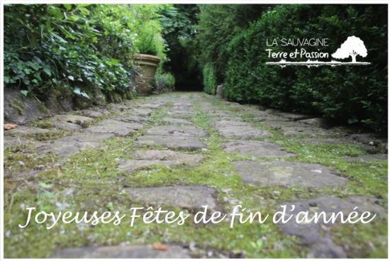 Très Bonnes Fêtes de Fin d'Année 2024