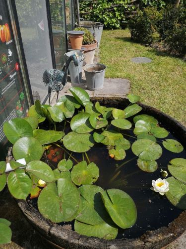 La Sauvagine Terre et Passion®