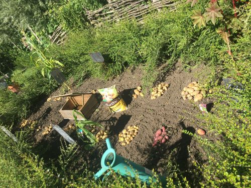 La Sauvagine Terre et Passion®