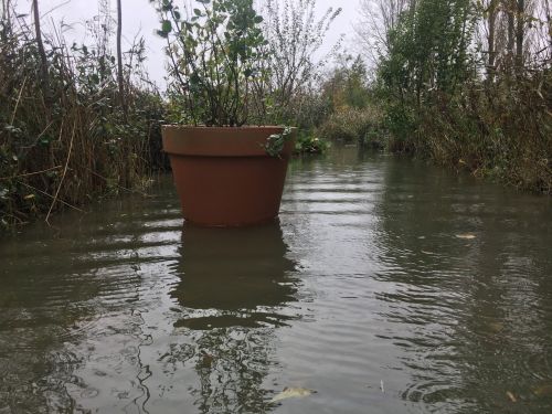 La Sauvagine Terre et Passion®