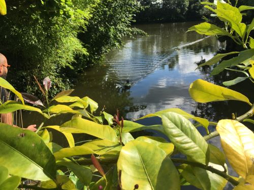 La Sauvagine Terre et Passion®