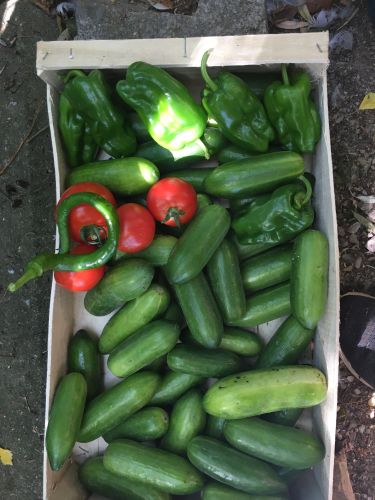 La Sauvagine Terre et Passion®