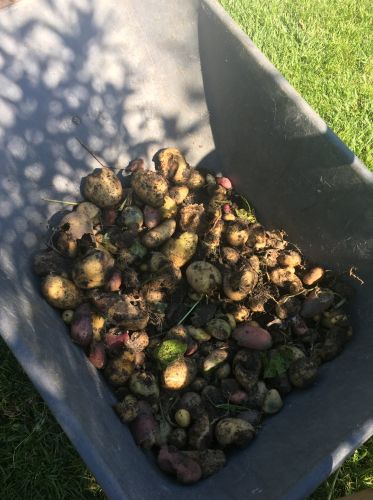 La Sauvagine Terre et Passion®