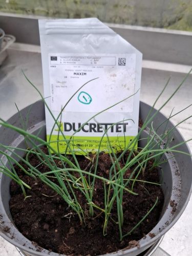 La Sauvagine Terre et Passion®