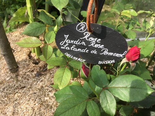 La Sauvagine Terre et Passion®