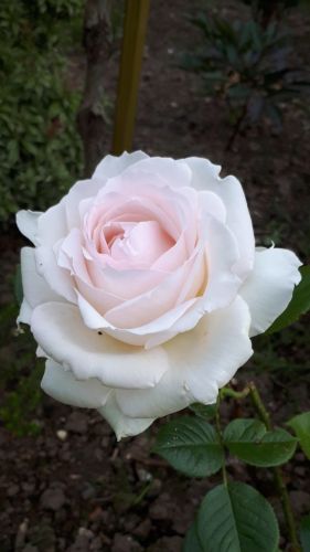 La Sauvagine Terre et Passion®