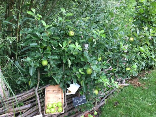 La Sauvagine Terre et Passion®