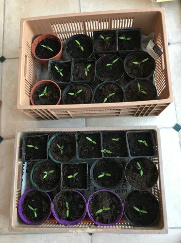 La Sauvagine Terre et Passion®