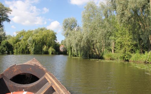 La Sauvagine Terre et Passion®